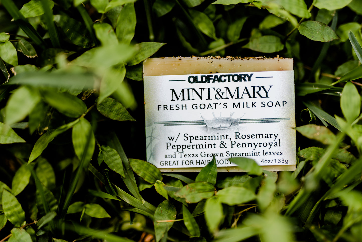 the healthy promise soap handcrafted goats milk mint and mary front of bar in leaves